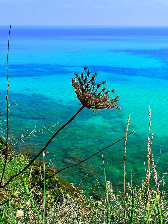 A Chiosella Bed and Breakfast Corbara Εξωτερικό φωτογραφία