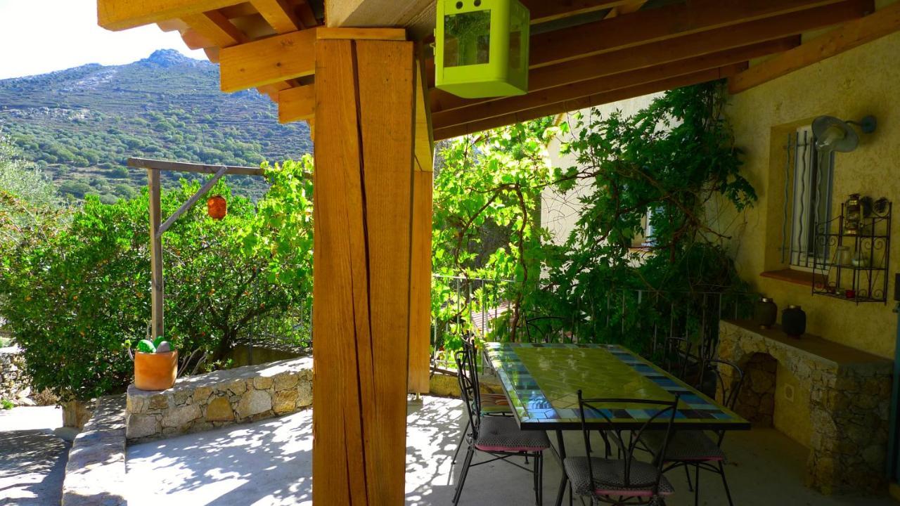 A Chiosella Bed and Breakfast Corbara Εξωτερικό φωτογραφία